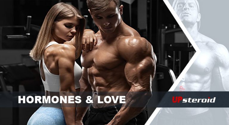 hormoner kærlighed
