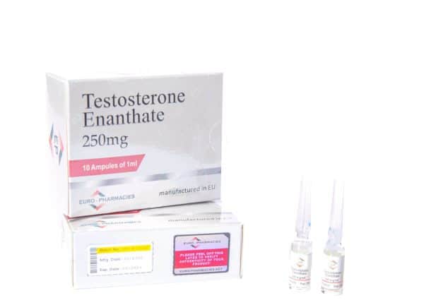 10 ml amps TESTOSTERON ENANTHAT euro