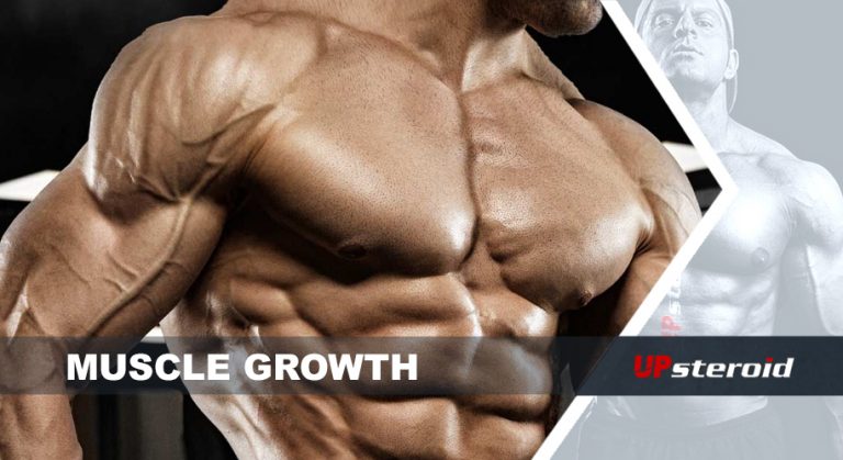 muskelvækst op