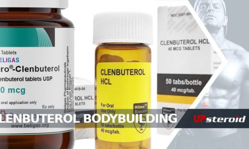 op blog clenbuterol bodybuilding