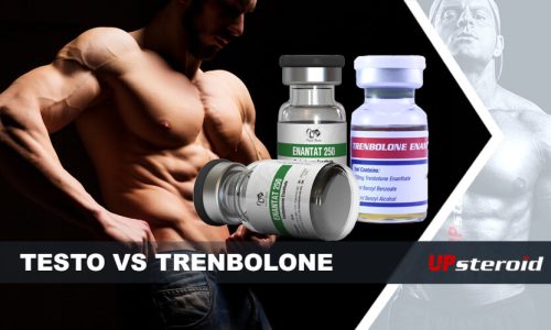 op blog testosteron og trenbolon