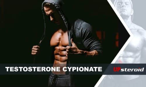 op blog testosteron cypionat til bodybuilding