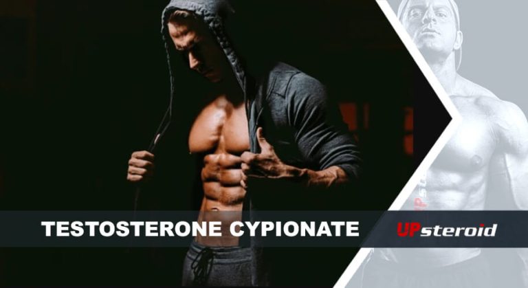 op blog testosteron cypionat til bodybuilding