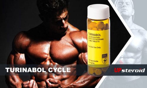 op blog turinabol cyklus