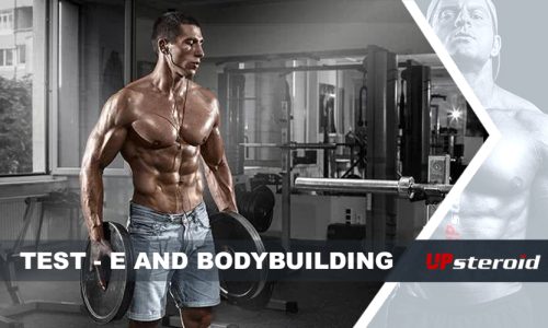 op blog test og bodybuilding