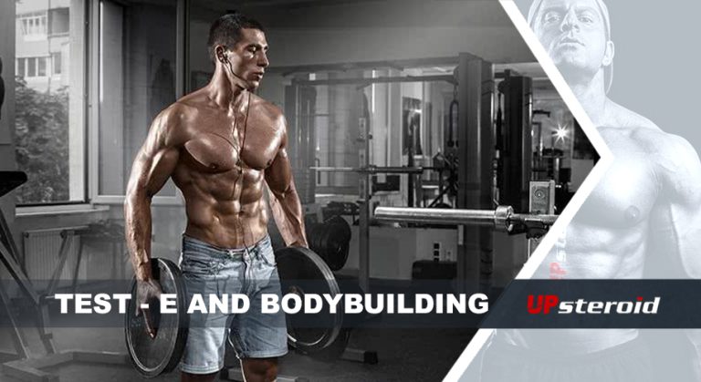 op blog test og bodybuilding