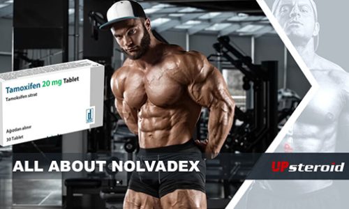 op blog om nolvadex mail