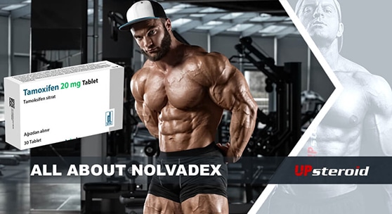 op blog om nolvadex mail