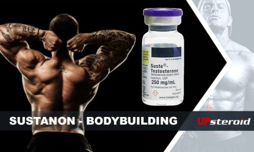 op blog susta bodybuilding