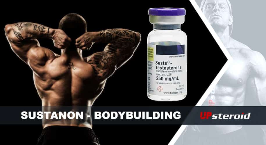 op blog susta bodybuilding