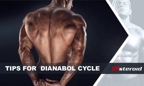 Blogtips om Dianabol-cyklus