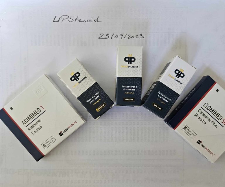 2023 09 25 65117847779f1 382103454 272992485200025 4784510958759846083 n.