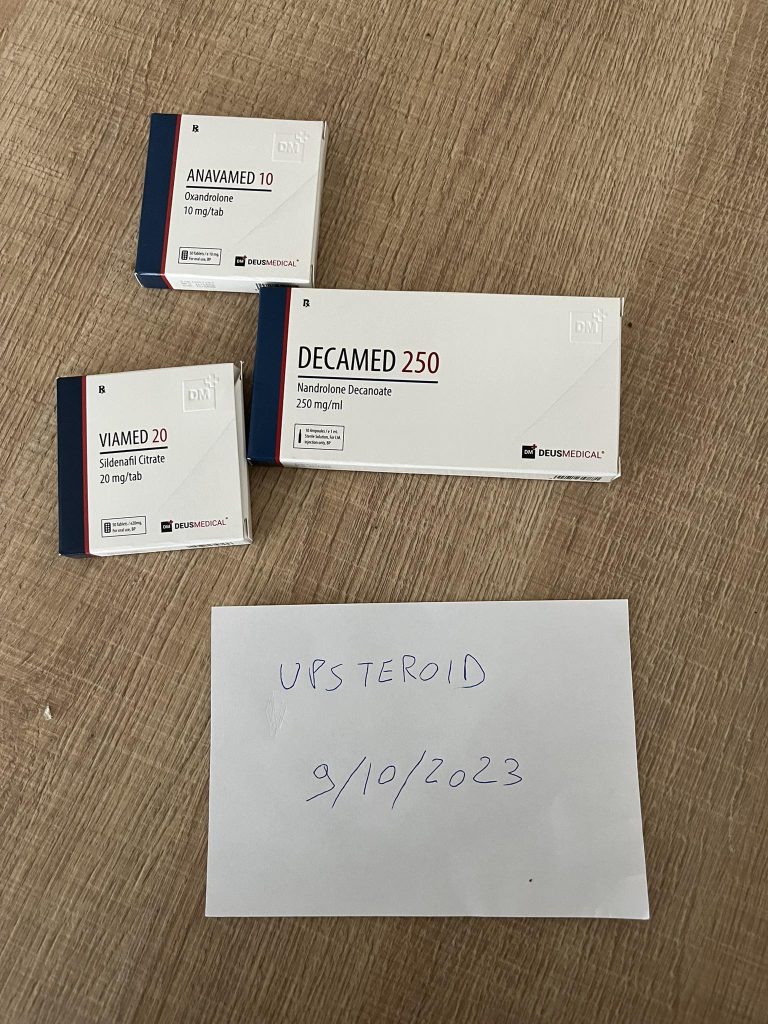 2023 10 09 6523c0e54ede3 387333371 6989909174374683 1408545920581409729 n.v.t.