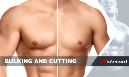 op blog bulking cutting cyklus