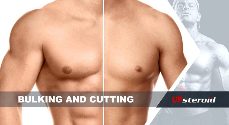 op blog bulking cutting cyklus