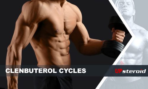 op blog clenbu cyklus