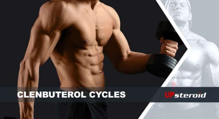 op blog clenbu cyklus