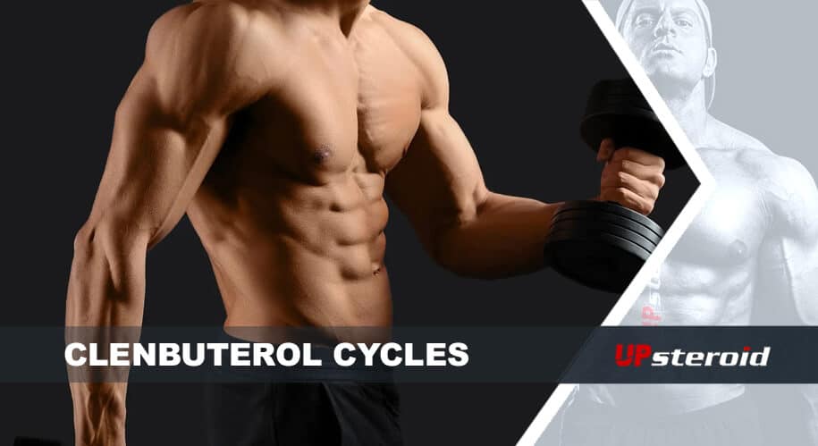 op blog clenbu cyklus