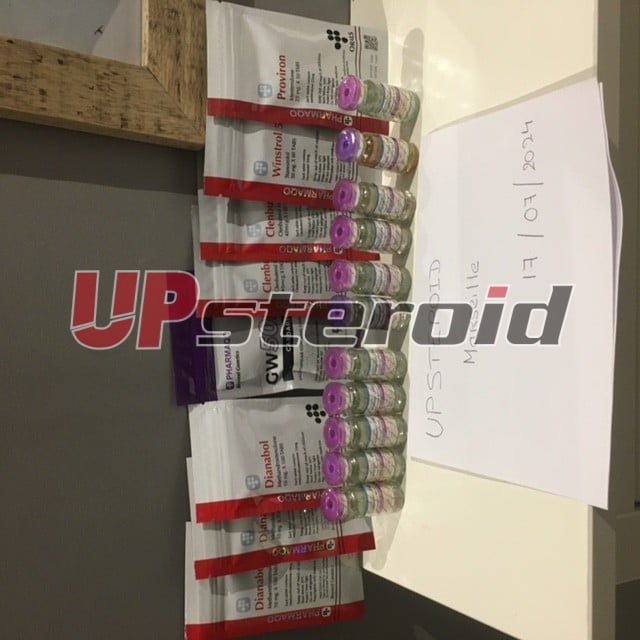 2024 07 22 669ed914d3a3d billede0