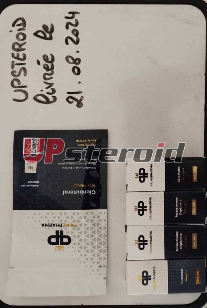 2024 08 22 66c7402cccfb7 Oprettelse af Messenger 0d43f1c6 18cf 4778 899a 755a60d58aa1