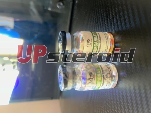 2024 10 04 67001e7cae5e0 IMG 0069