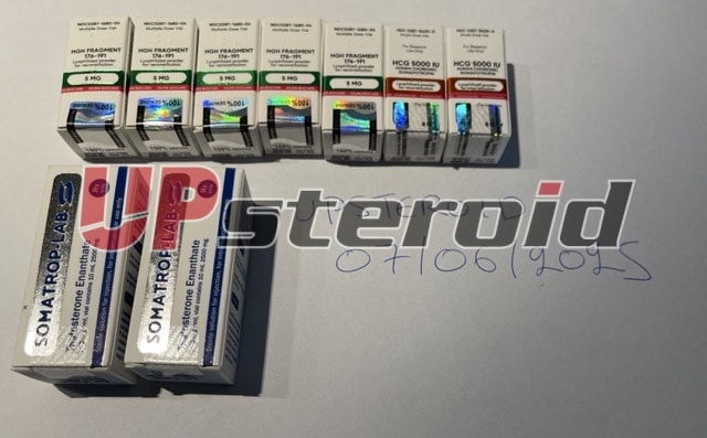 2025 07 07 686bc8c3c46f9 tMellem